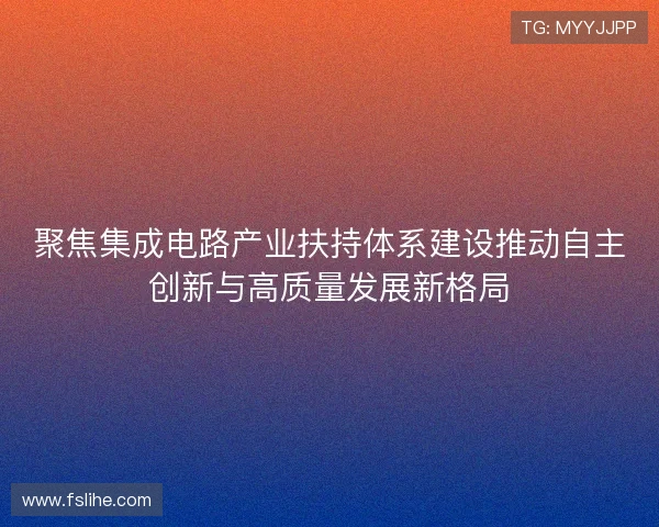 聚焦集成电路产业扶持体系建设推动自主创新与高质量发展新格局